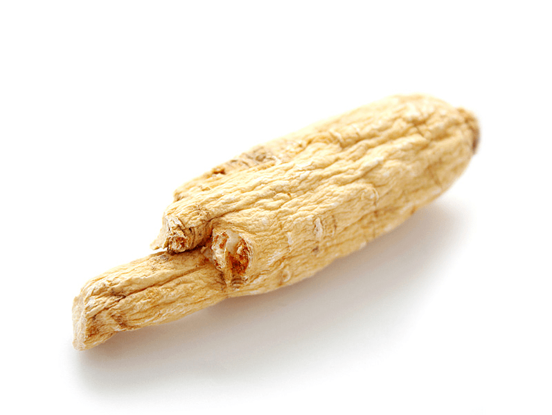 Raíz de Aralia para potenciar